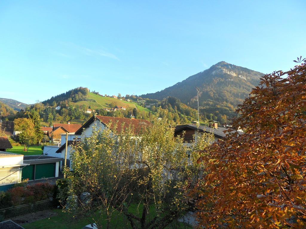 Ferienwohnung Lilly Дорнбирн Номер фото